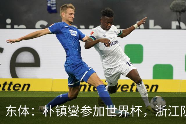 东体：朴镇燮参加世界杯，浙江队将获得总额约31.9万美元补偿