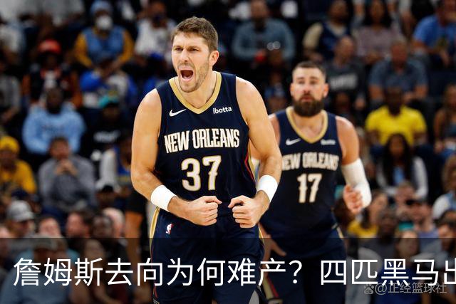 詹姆斯去向为何难产？四匹黑马出现加剧混乱